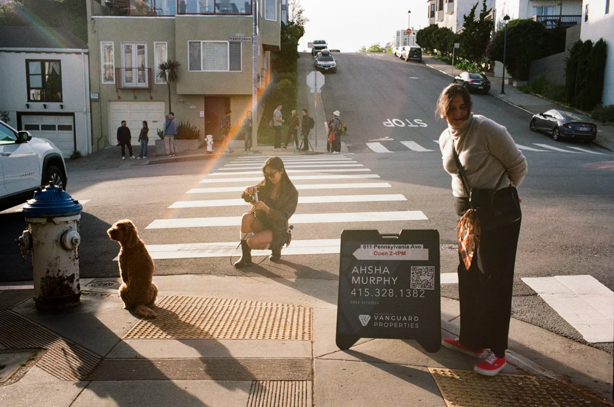 Photo-dog