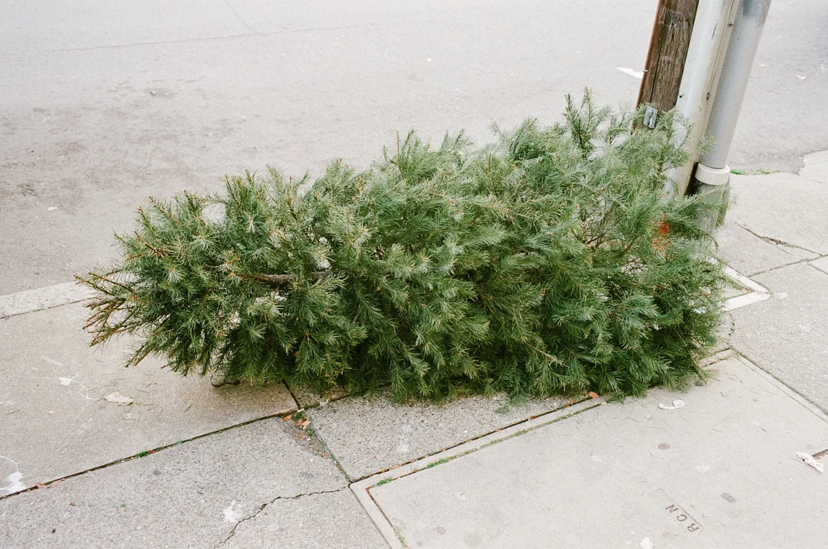 X-mas