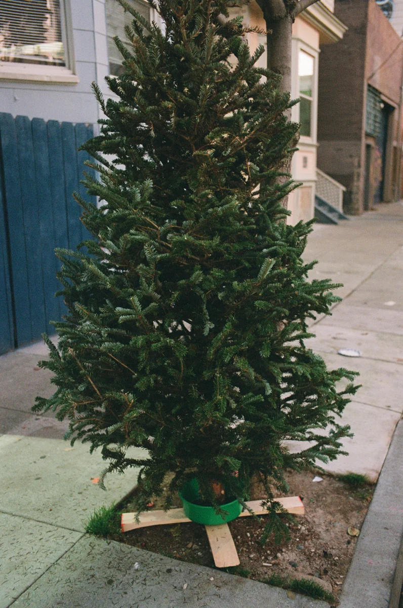 X-mas