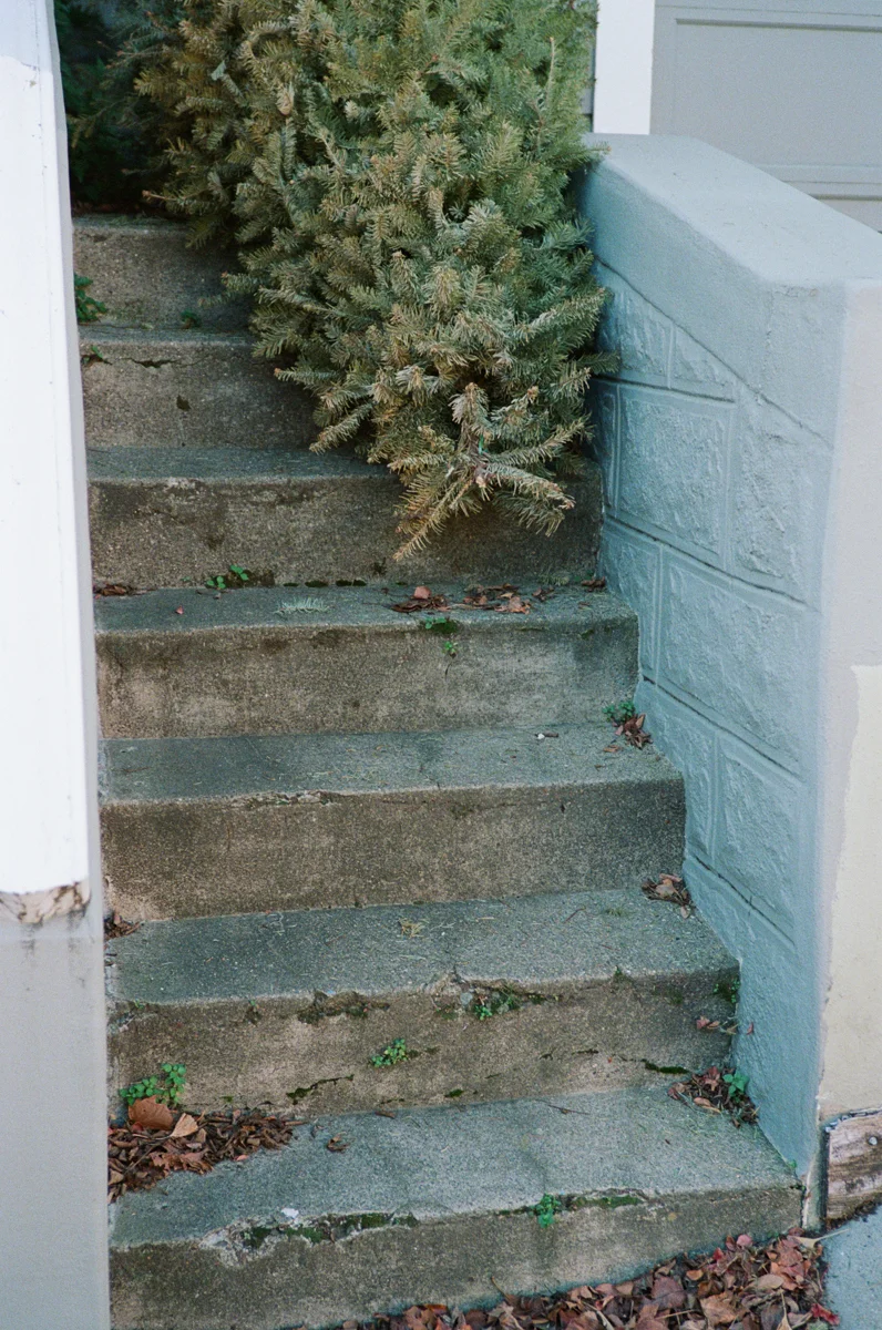 X-mas