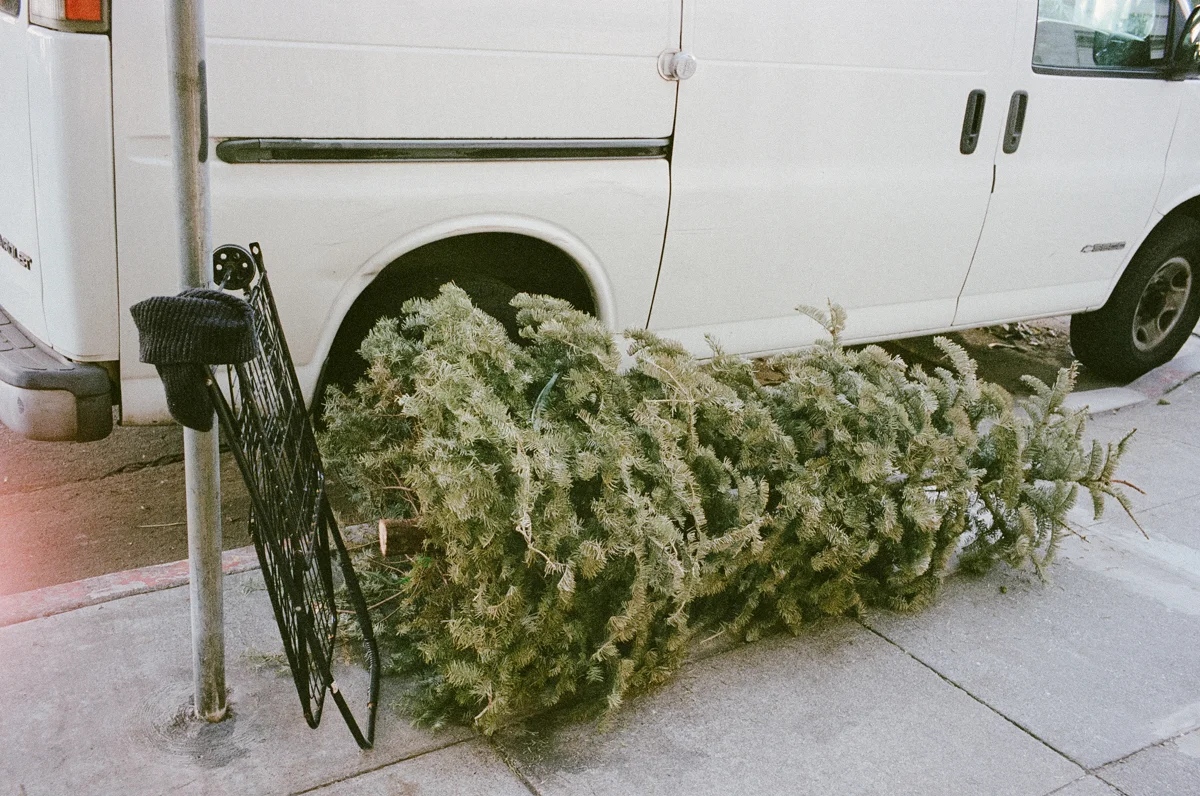 X-mas